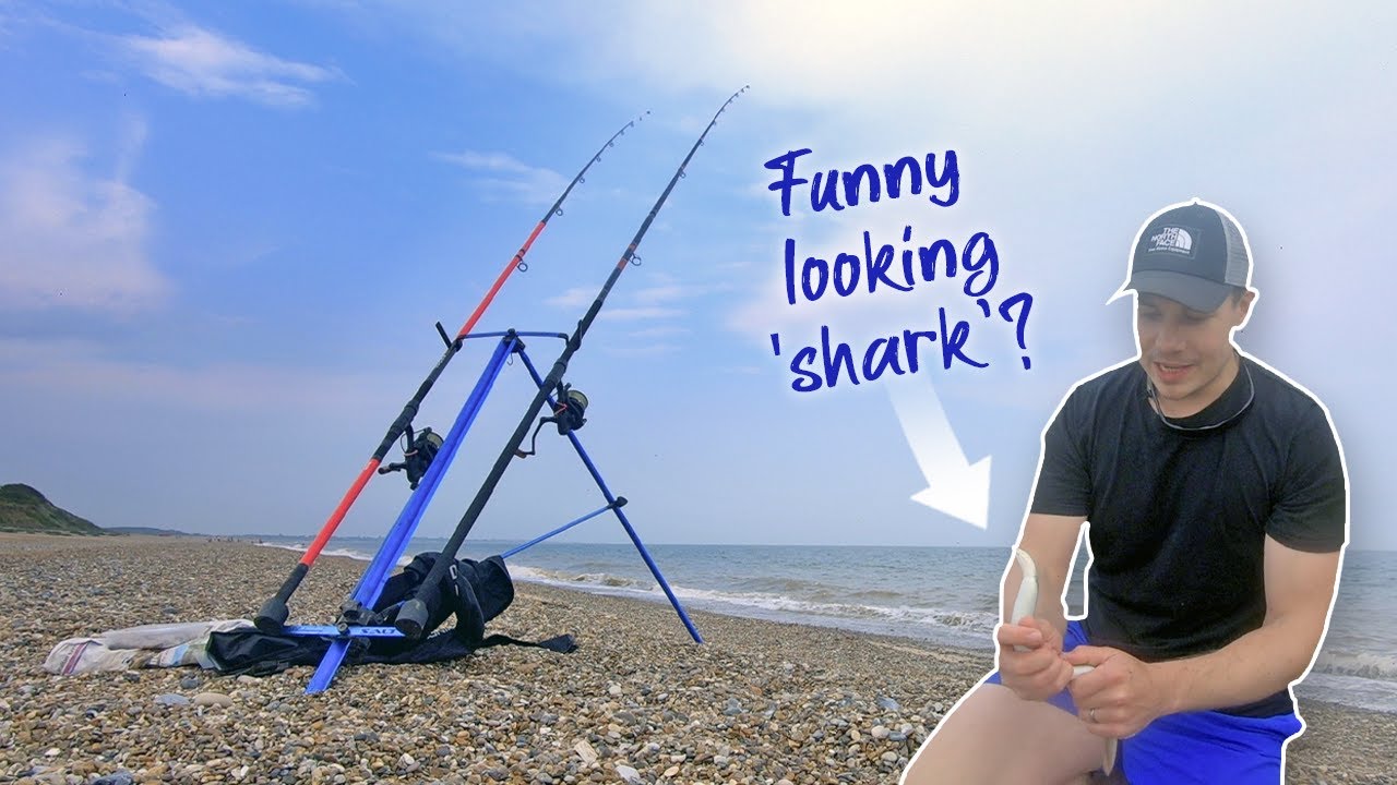 Part 4... In search of 'A SHARK' at Dunwich