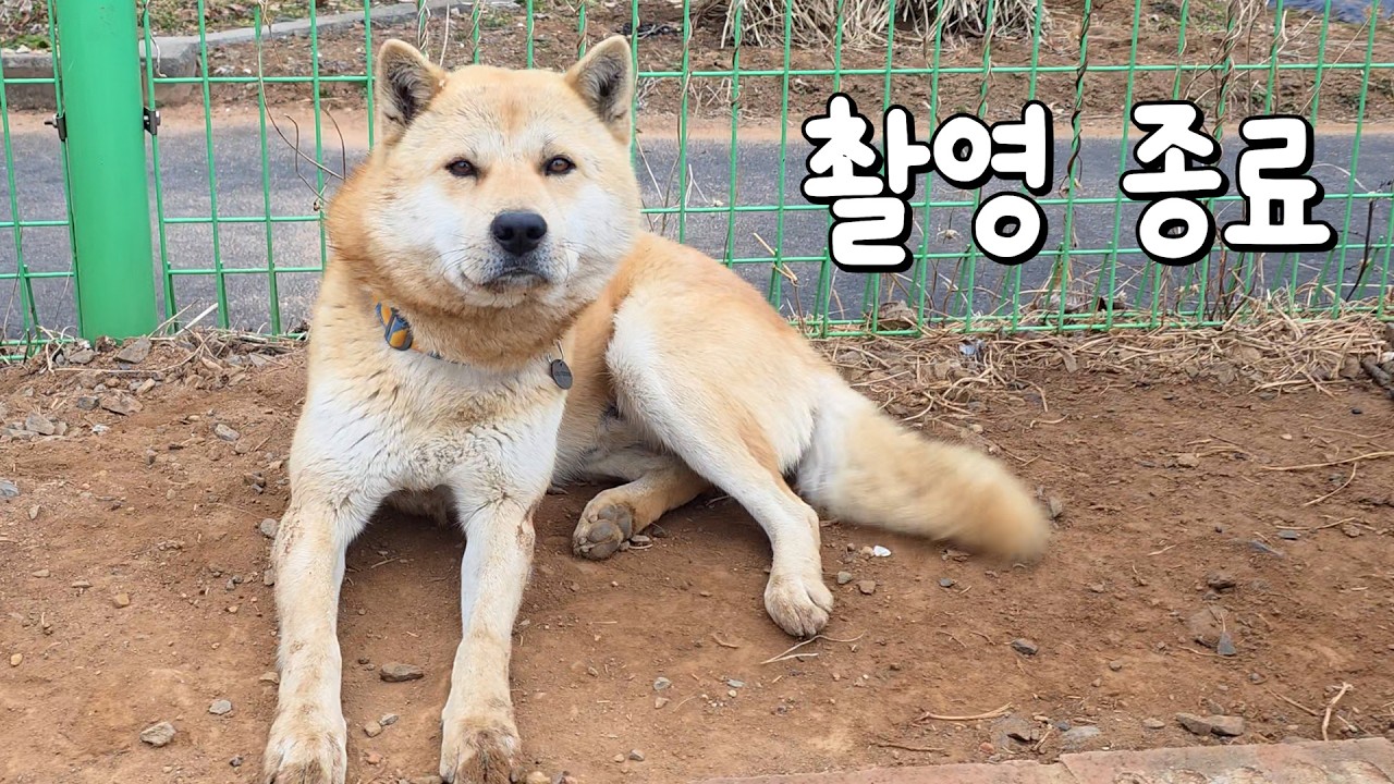 새해에는 달라져야지