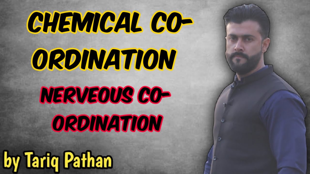 Chapter Co- ordination | Chemical Co- Ordination | Nerveous Co-ordination | Tariq Pathan