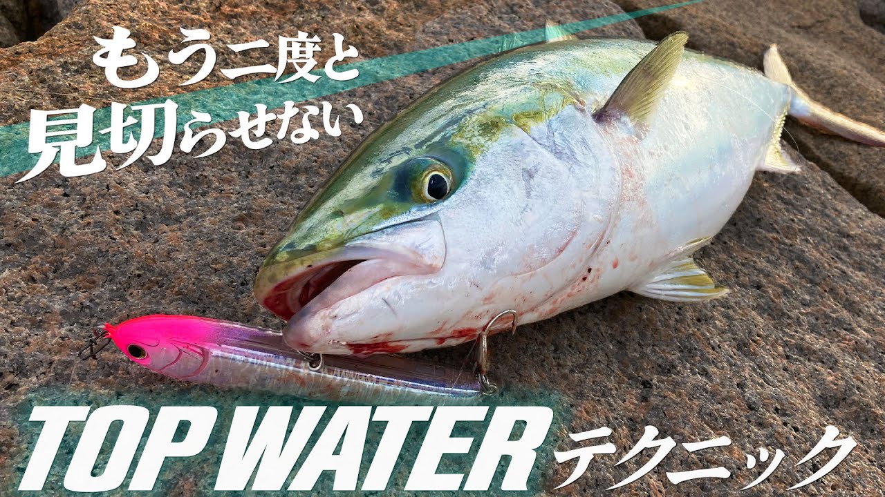スレた大物に見切らせない！トップのアクションとロッドワークのテクニック【青物/ショアジギング/大阪湾】