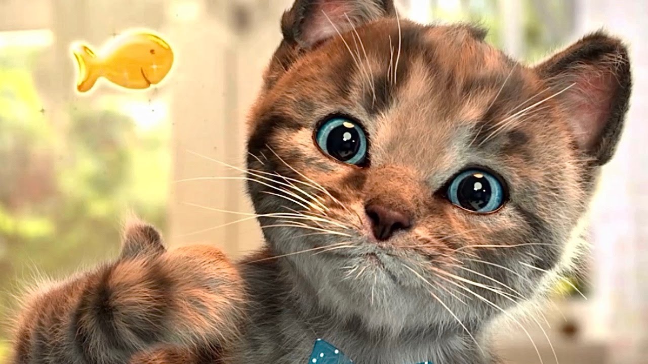 CUTE LITTLE KITTEN ADVENTURE - FUNNY KITTY & FRIENDS ADVENTUROUS JOURNEY CARTOON VIDEO 