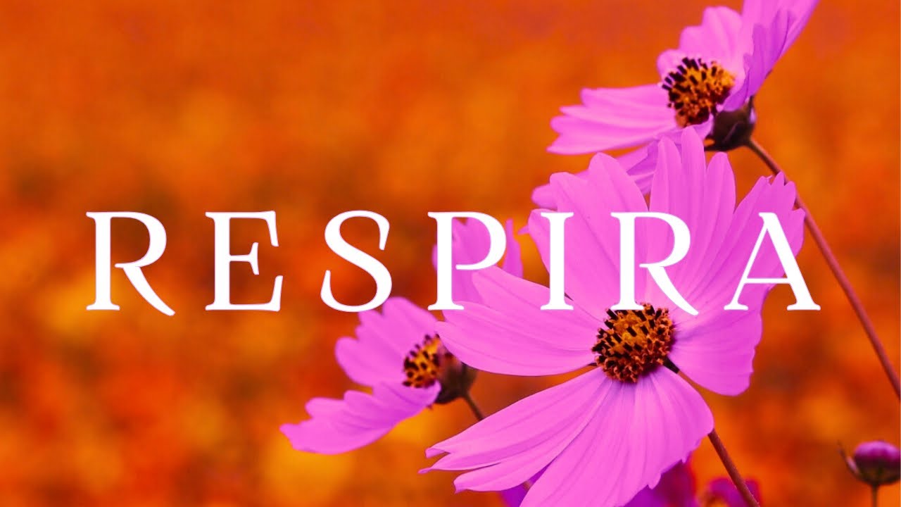 RESPIRA 🌸 Música Relajante para Calmar la Ansiedad y Liberar el Estrés