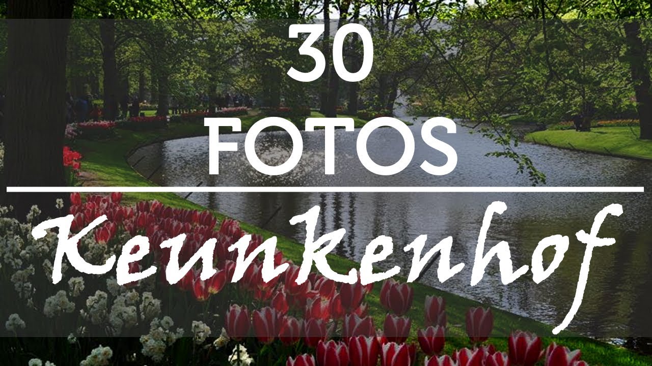 30 Fotos do parque Keukenhof na Holanda