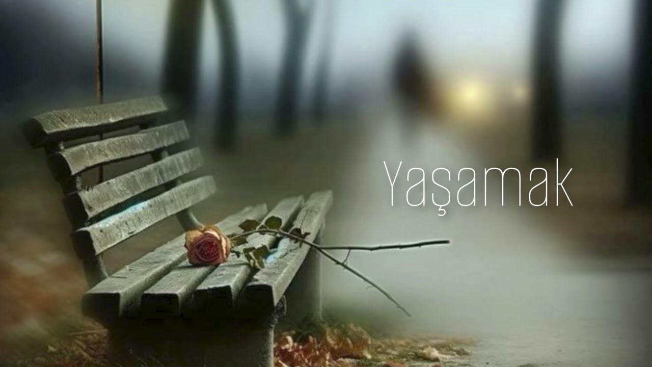 Şehirli Ozan - Yaşamak l Official music video &reg; 2025
