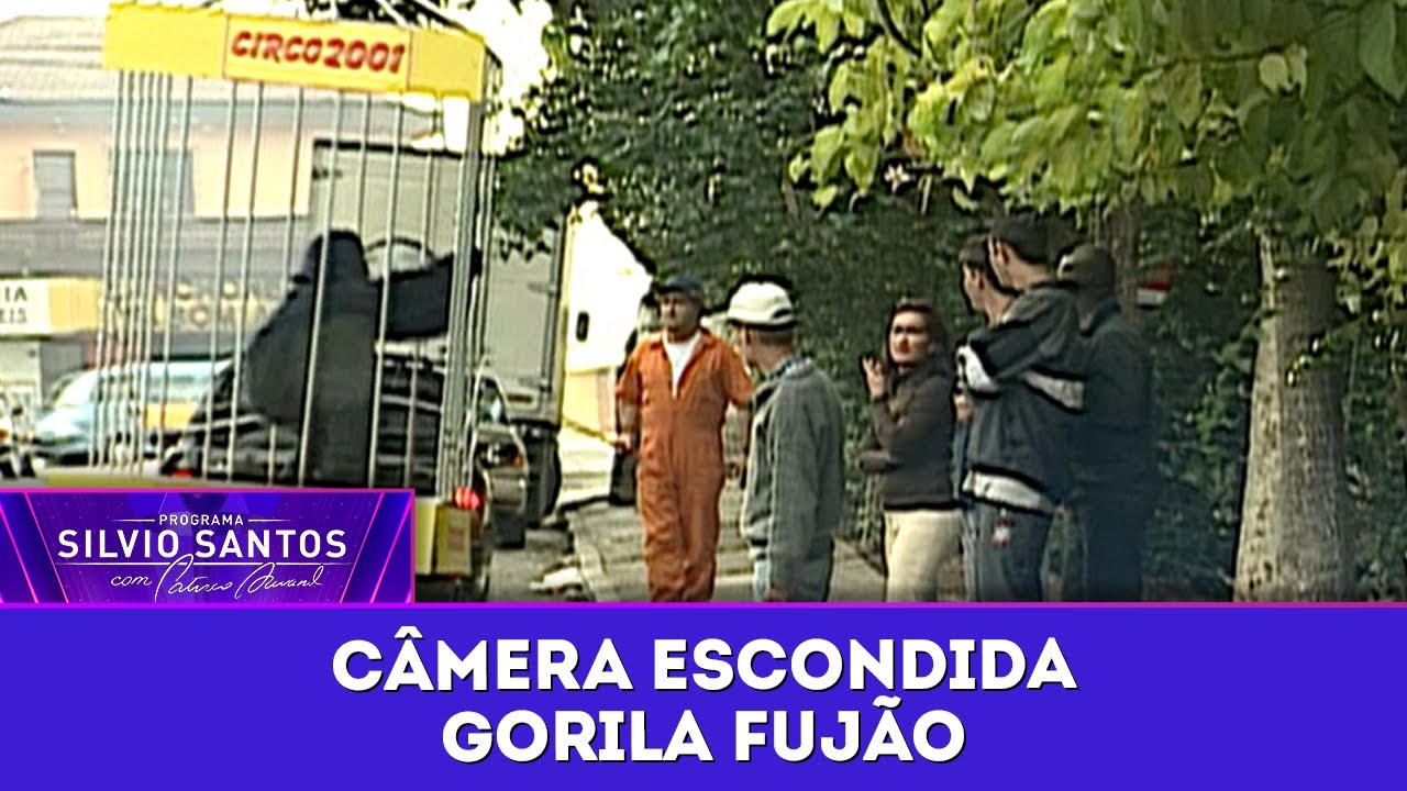 Gorila Fuj&atilde;o | C&acirc;meras Escondidas (25/07/25)