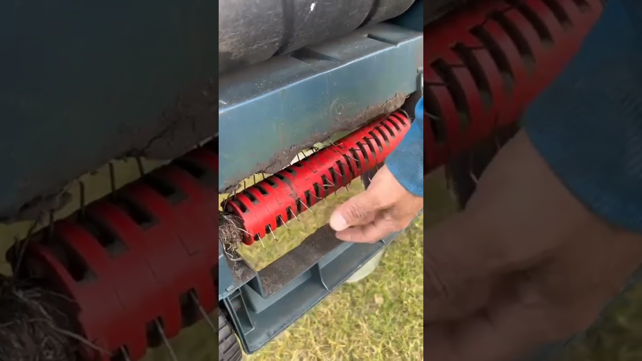 صيانة النجيل وتجديده في الحديقة المنزلية