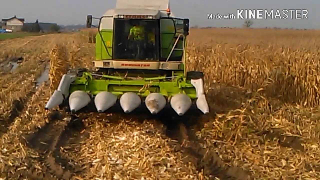 Claas Dominator 108 VX & Claas Conspeed Linear 6-75 FC