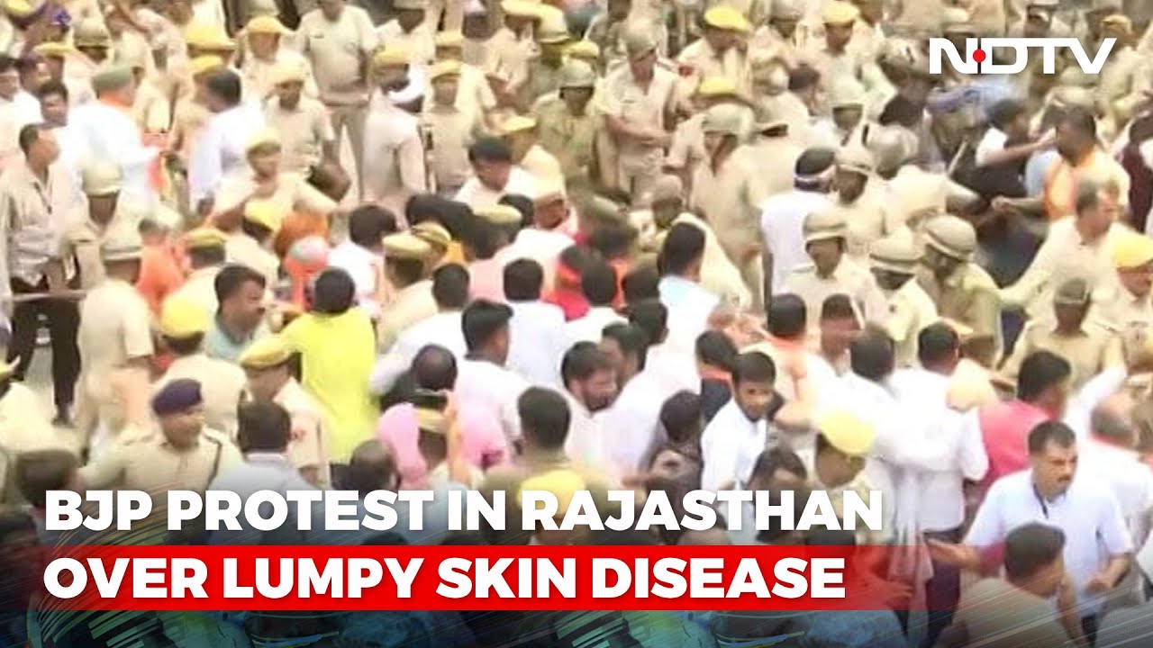Big BJP Protest In Jaipur Over Lumpy Skin Disease. Rajasthan Is Worst-Hit