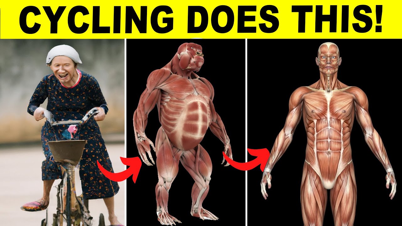 What Will Happen to Your Body If You Do Cycling Every Day
