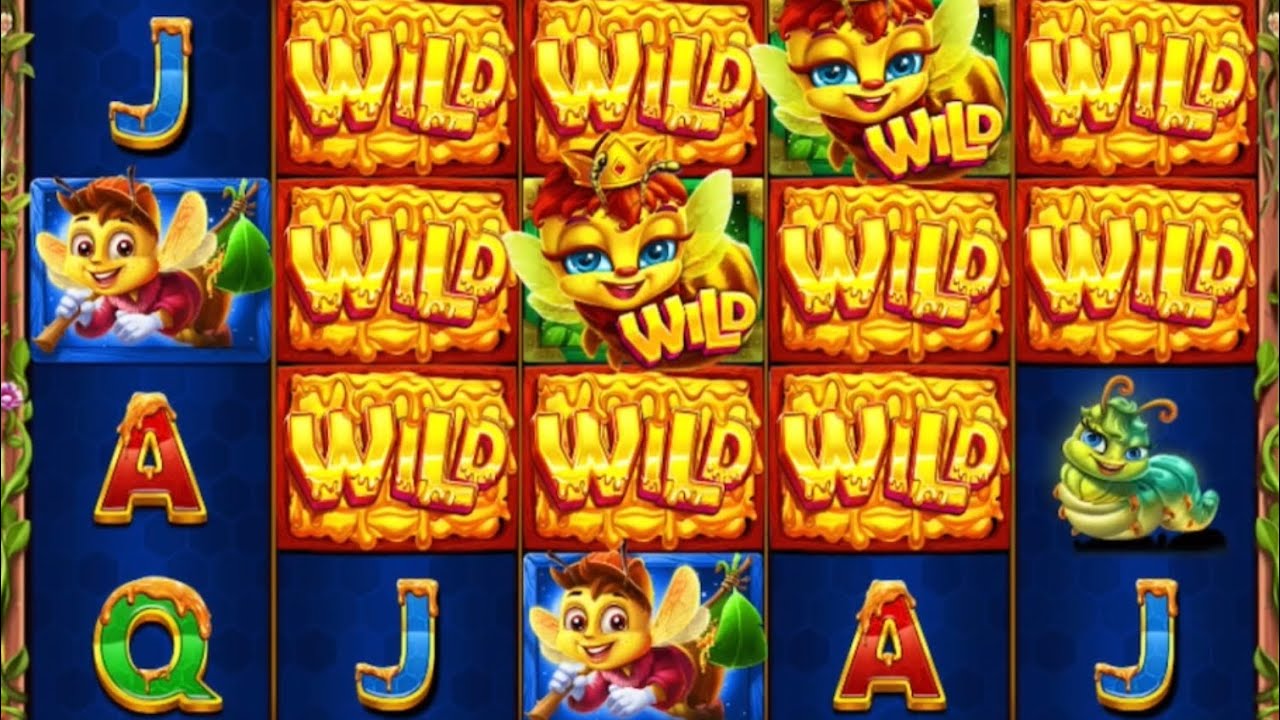 Huge high stake 3 buzzing wilds bonus compilation #bigwin huge profit