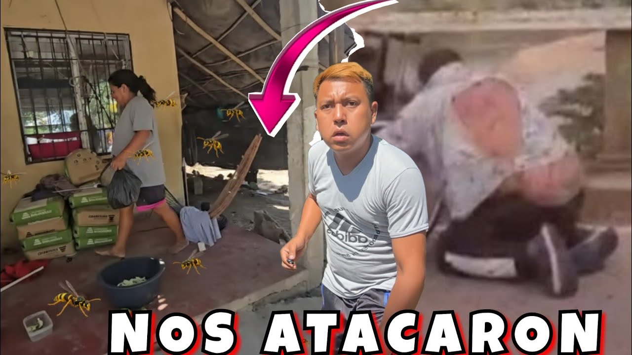 DOÑA ESTELA entró a la casa😭Mostró donde fue el ataque🕊Las avispas nos siguieron y evacuan vecinos