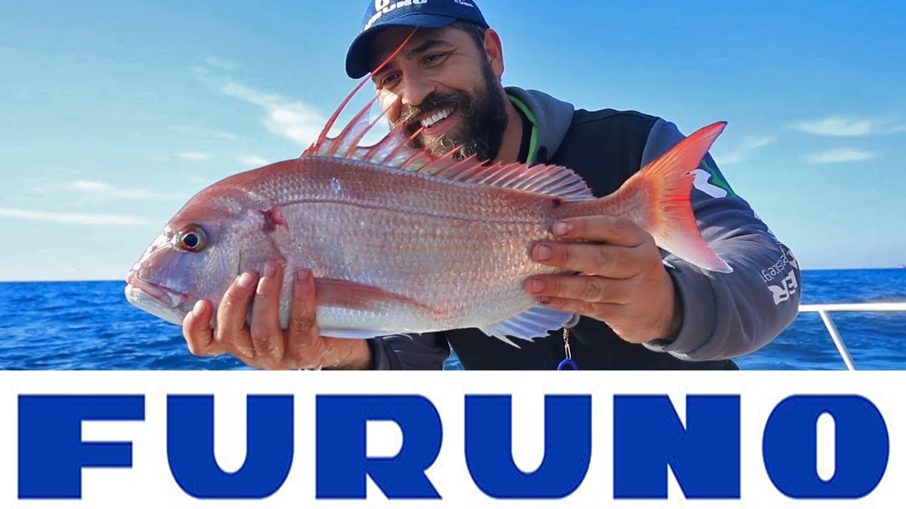 FURUNO ΚΑΙ EXTRA ΛΕΙΤΟΥΡΓΙΕΣ| ΤΣΑΟΥΣΙ ΣΤΑ “ΒΑΘΙΑ” CATCH & RELEASE feat ZAVRAS FISHING!!!