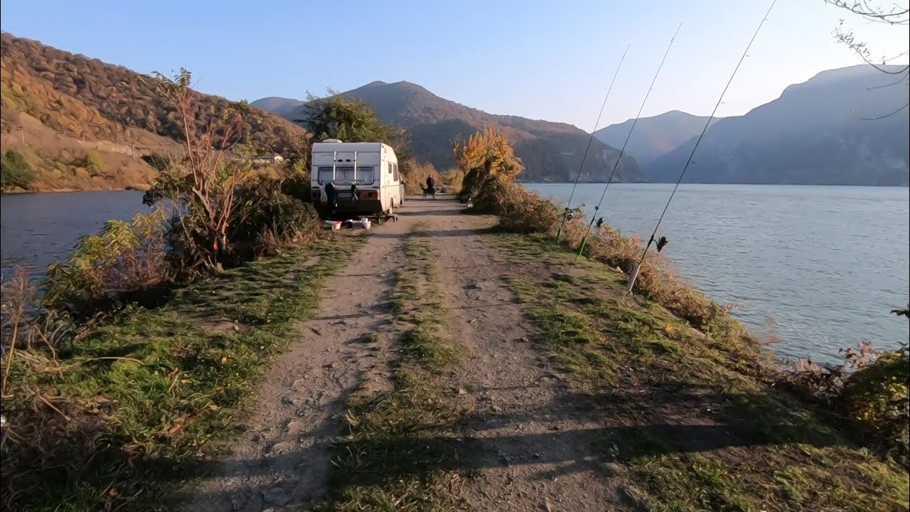 PESCUIT CU UICA GORE. Tot la Dunăre. Prins crap și fitofagi. Montura și momeala.