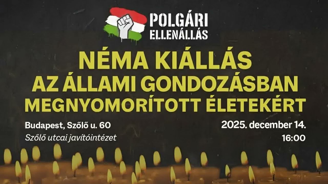 Puzs&eacute;r: A Szőlő utcai botr&aacute;nysorozat kij&oacute;zan&iacute;thatja a fideszes osztogat&aacute;ssal elk&aacute;b&iacute;tottakat