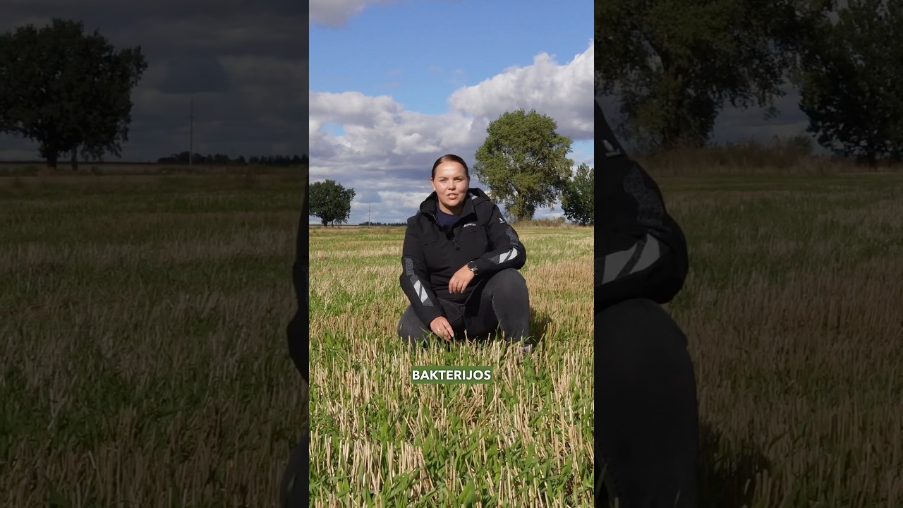 Reportažas i&scaron; @bioversio žieminių miežių demonstracinio lauko Ukmergės rajone #bioversio