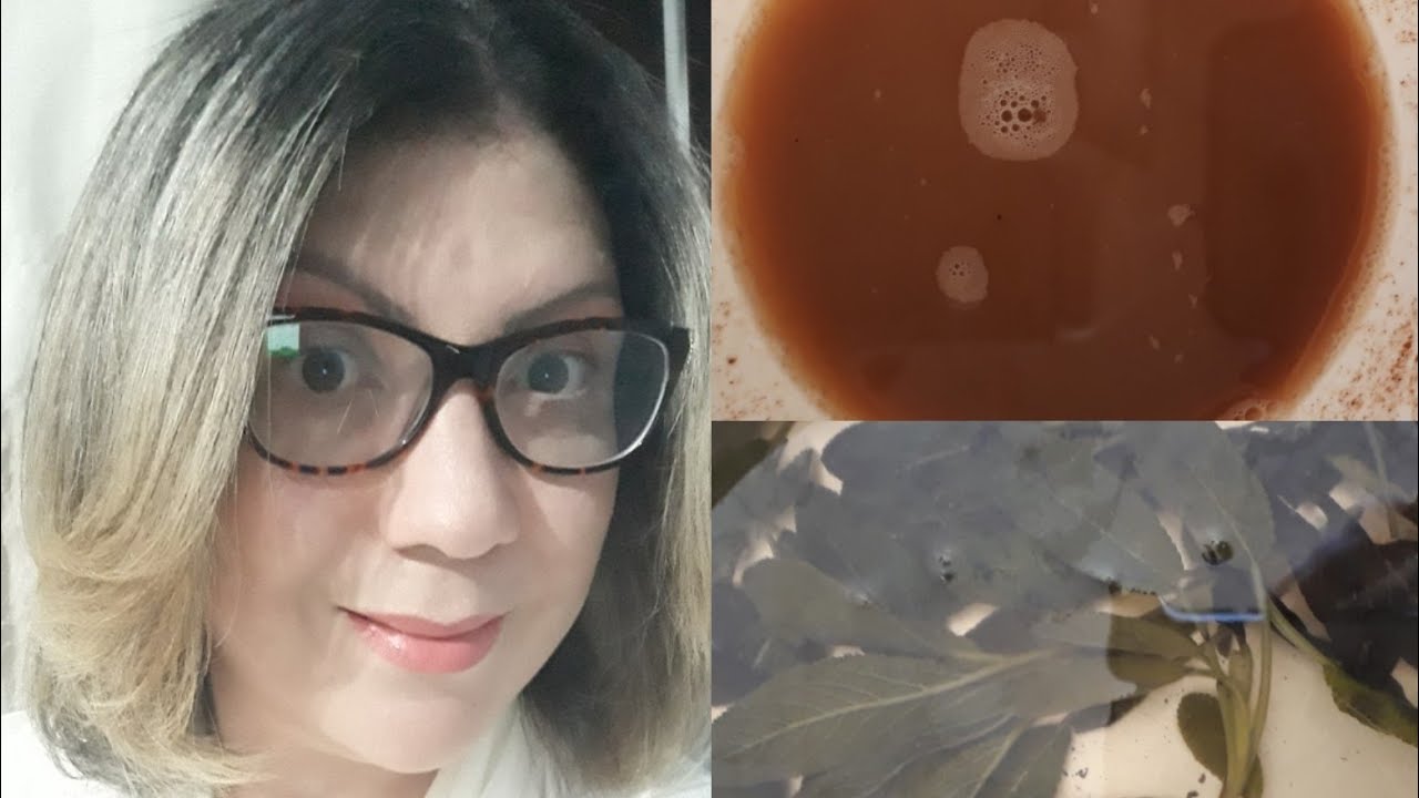 SHAMPOO CASEIRO CRESCE O CABELO ATUA CONTRA ALOPECIA  E LIMPA COURO CABELUDO  DA CASPA E SEBORRÉIA