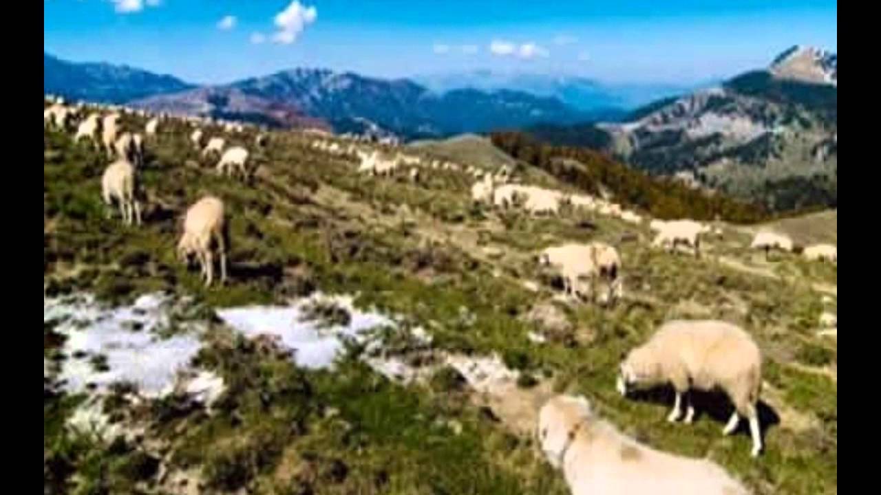 Μαρία Μοιρολόι Αβδέλλας
