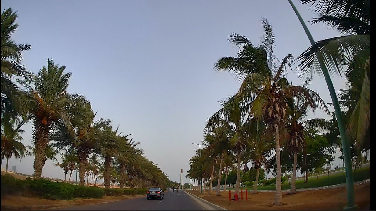 Beautiful Road Trip in Yanbu Al-Bahr | Scenic Dashcam Drive with Trees and City Views 1