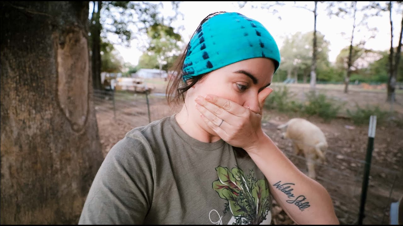 It's PIGLET time (All night pig farrowing) | VLOG