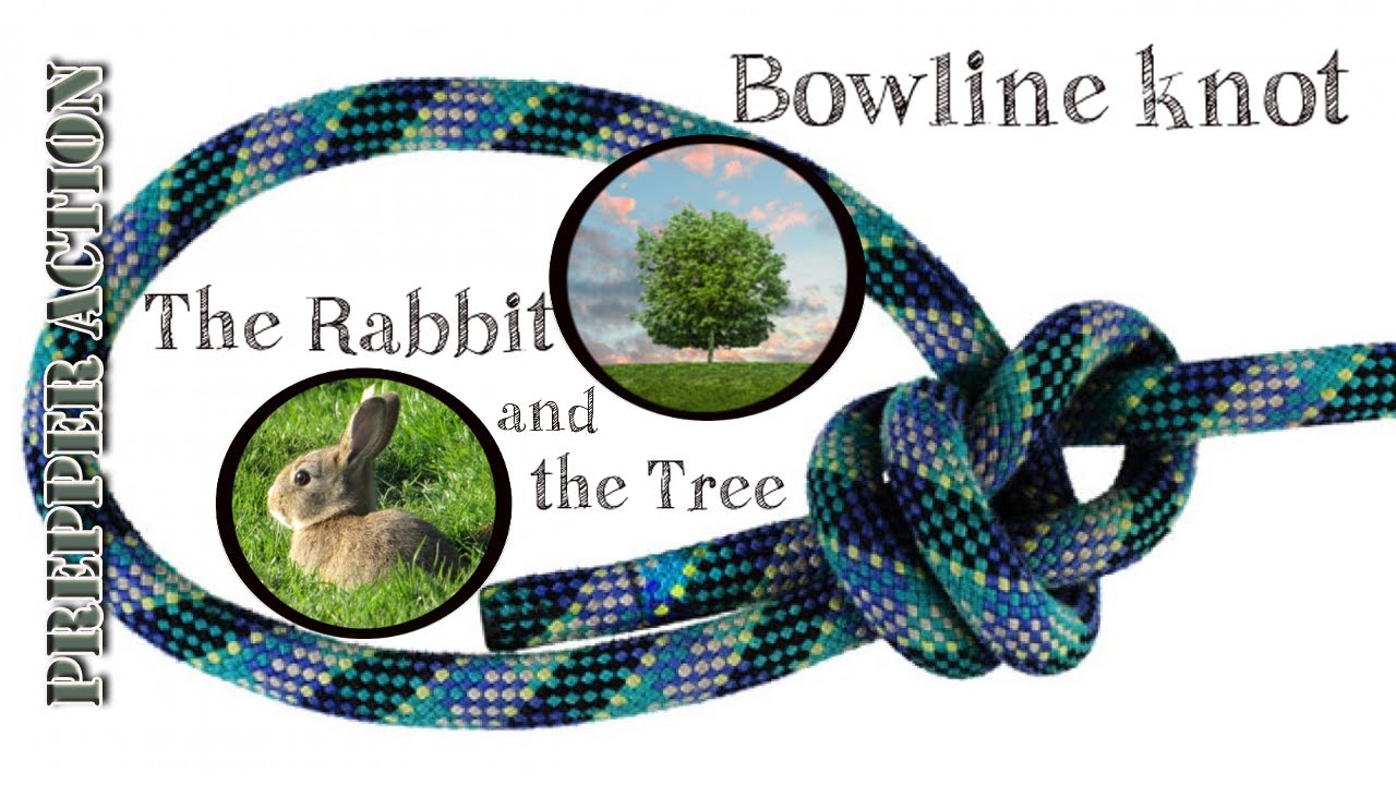 Bowline knot (The Rabbit and the Tree) how to tie this knot