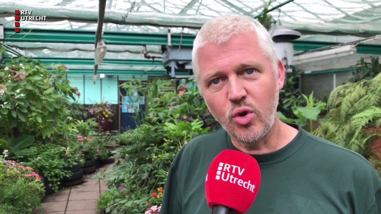 Vlinders vliegen om je oren in Botanische Tuinen [RTV Utrecht]