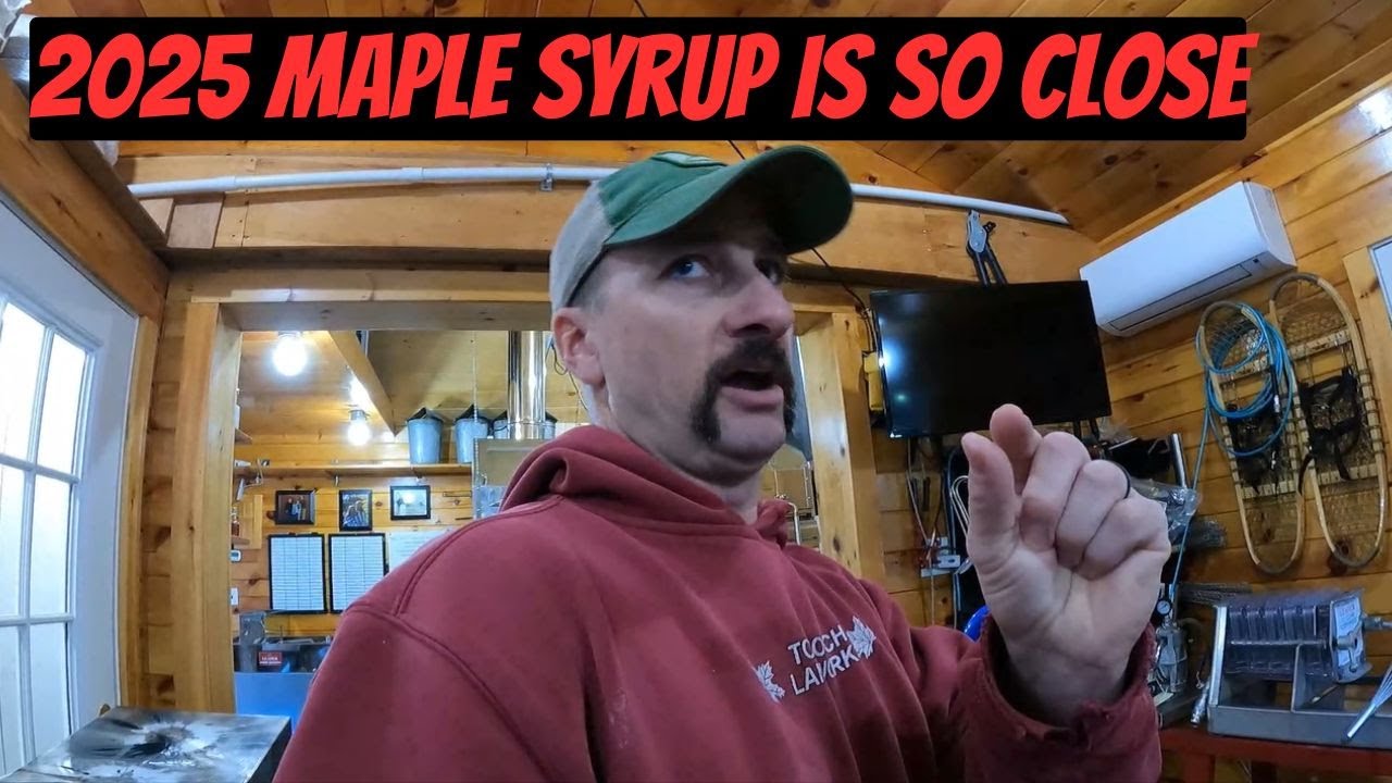 Last minute things before maple syrup 2025 starts