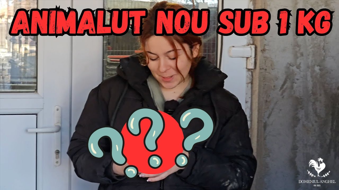 2 animalute noi / AVEM NEVOIE DE VOI!
