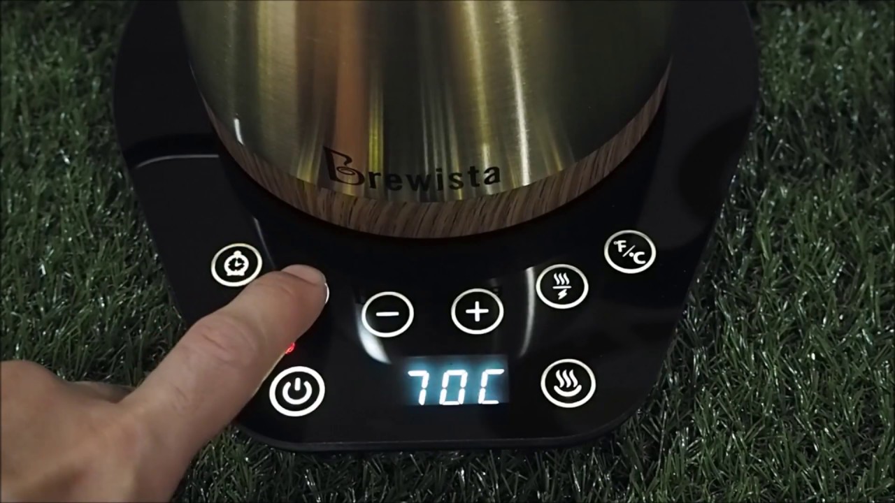 Brewista Artisan Kettle