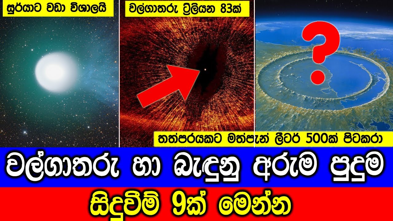 වල්ගාතරු හා බැඳුනු ඇසුවත් පුදුම හිතෙන සිදුවීම් 9ක් මෙන්න.