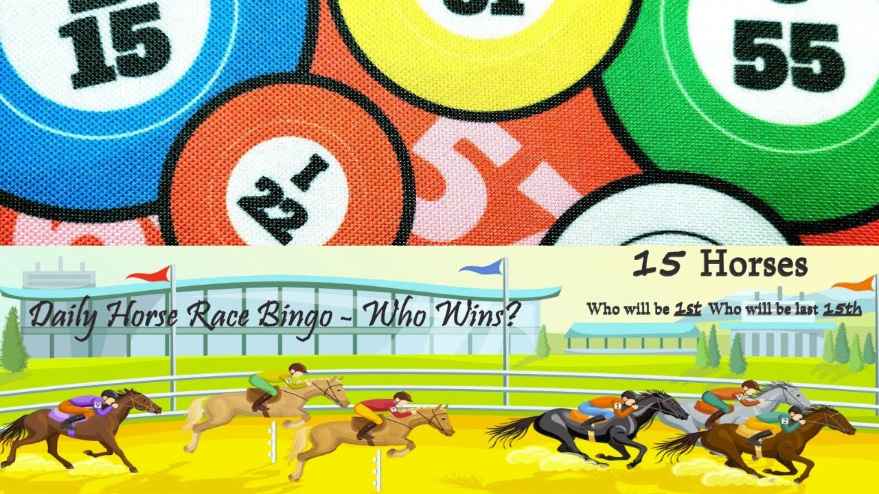 DAILY HORSE RACE BINGO Races #1 #2 #3 Brand New Race Everyday!