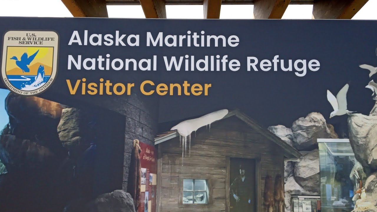 Alaska Maritime National Wildlife Refuge Visitor Center And Science Center In Homer Alaska 2025