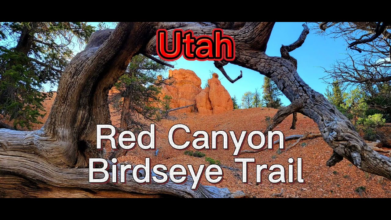 Utah Red Canyon Birdseye Trail