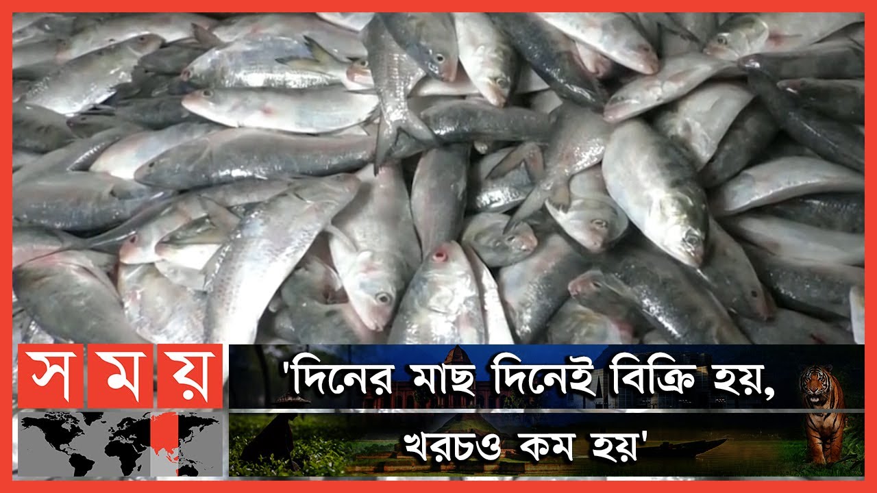 মাছ পৌঁছাচ্ছে ২৪ নয় মাত্র ৬ ঘণ্টায় ! | Barguna News | Fish Market | Business News | Somoy TV