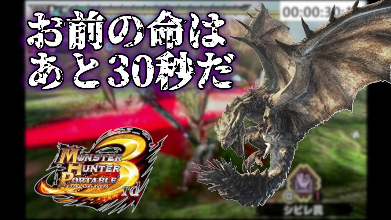 [モンハン3rd]出会って30秒でリオレイアを倒せ！