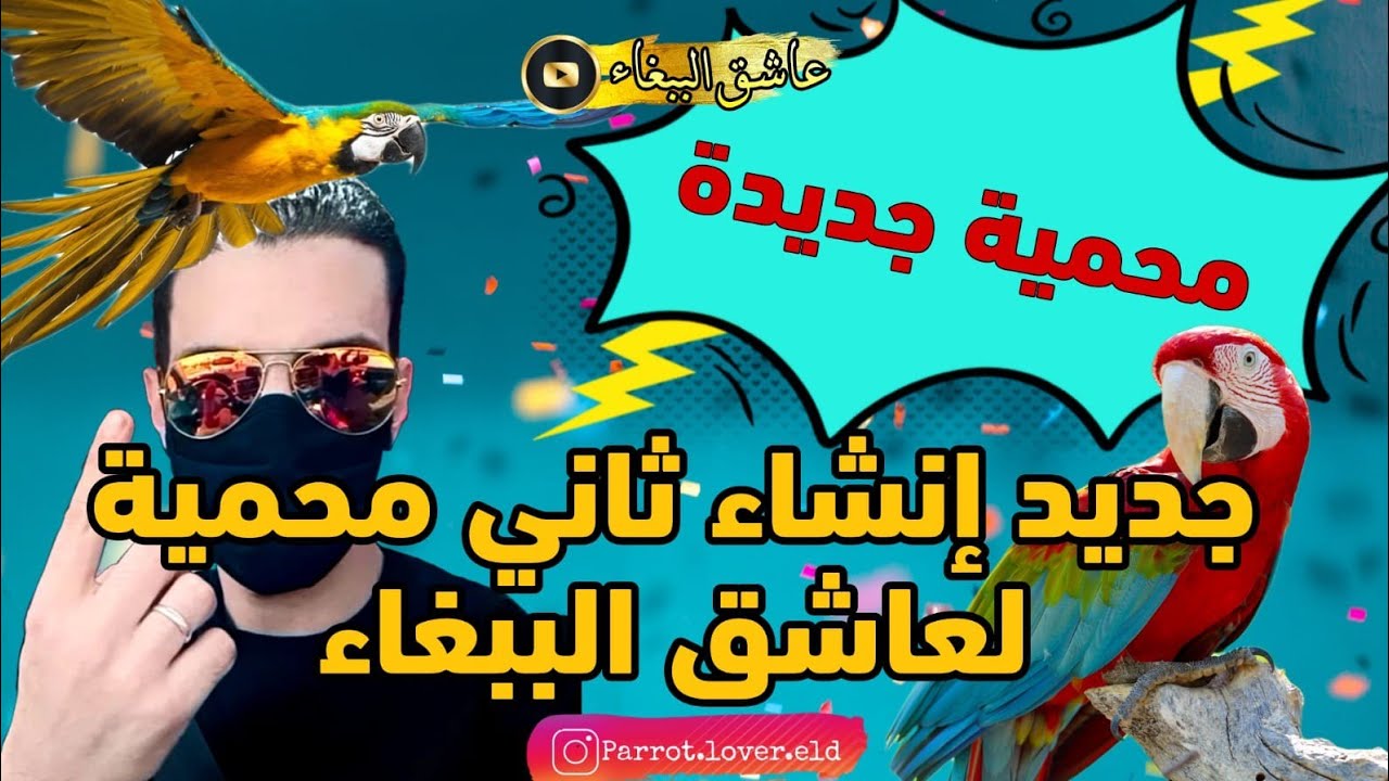 شوفوا ثاني🔥 اكبر💪محمية لانتاج الببغاوات🦜 ديال عاشق الببغاء😉🔥