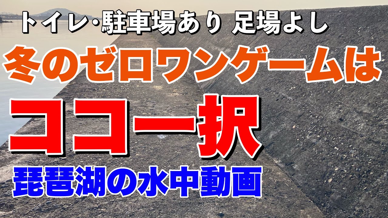 【琵琶湖の水中動画】子バスが釣りたいならここには来ないで下さい