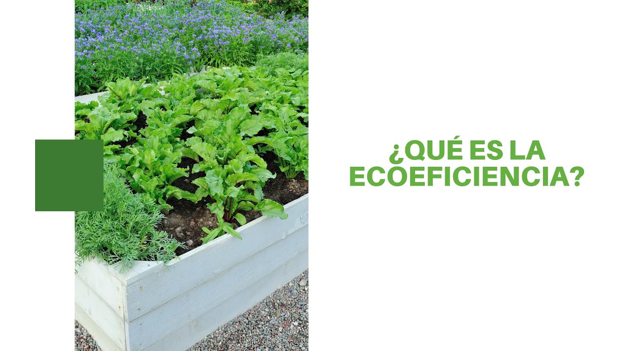 ¿QUÉ ES LA ECOEFICIENCIA?