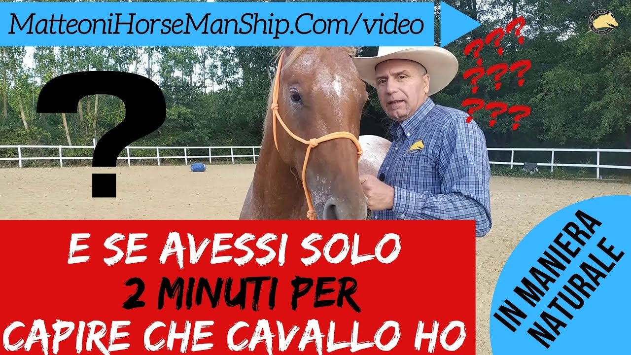 E se avessi solo 2 minuti per capire che cavallo ho