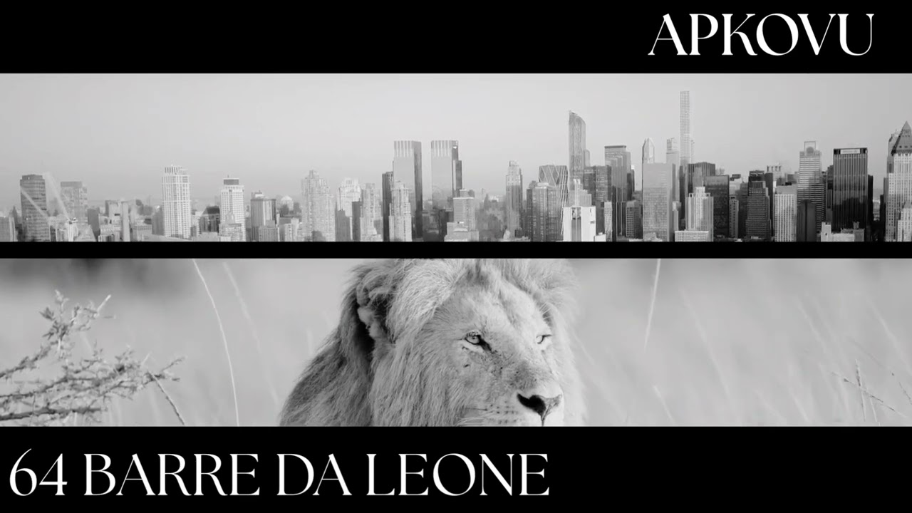 ApKovu - 64 BARRE DA LEONE