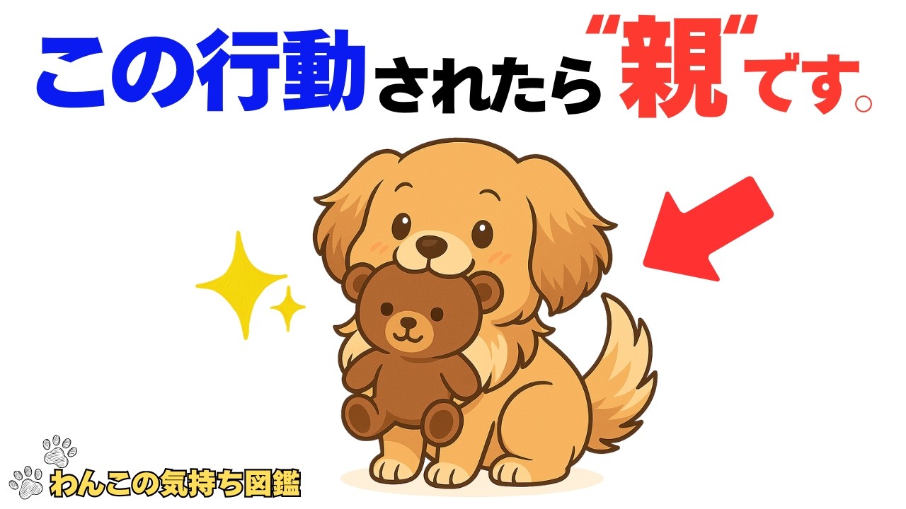 【愛しい】犬が飼い主を『親』だと思ってる7つのサイン｜わんこの気持ち雑学