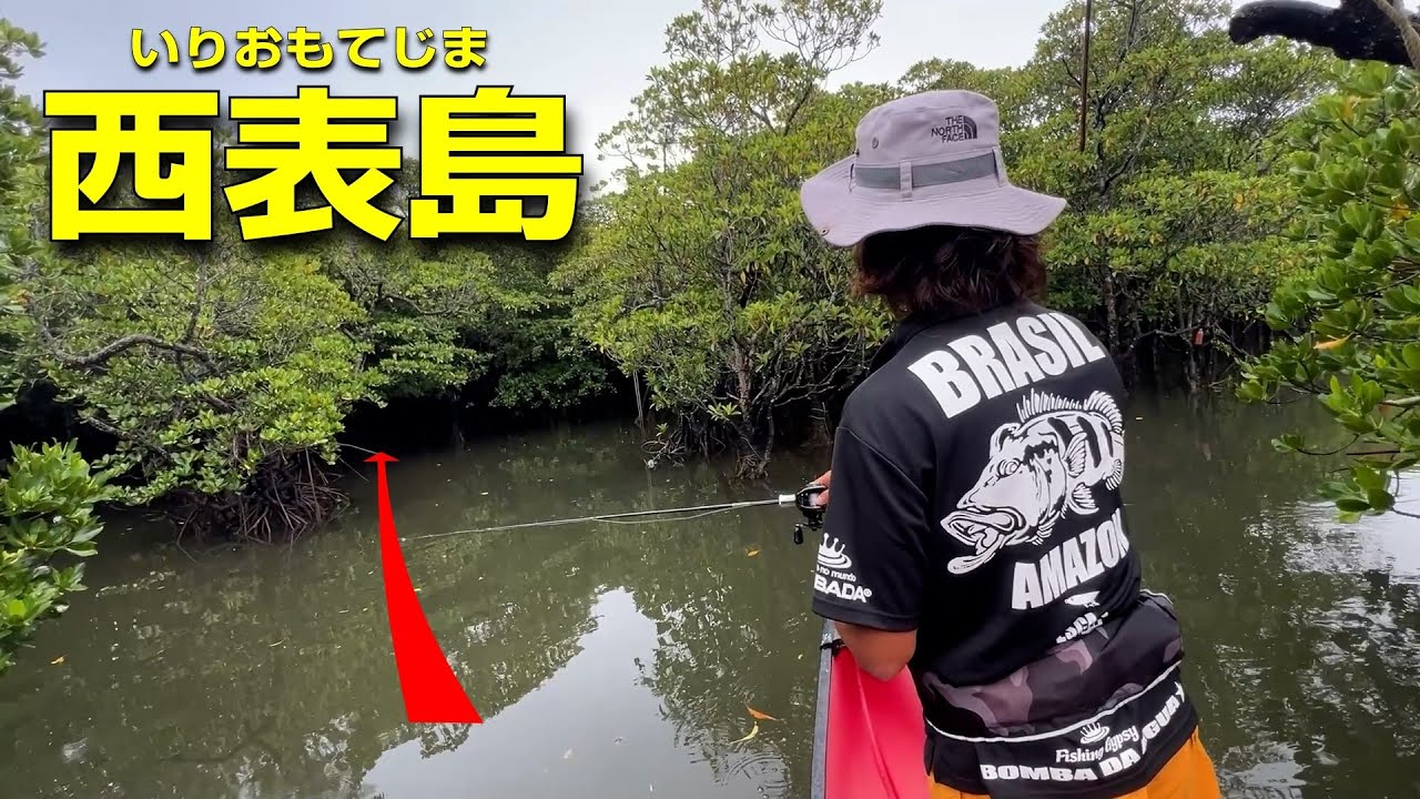 西表島のマングローブカヤックフィッシングは思った以上にキャスト制度が重要だった - 2025年9月 西表島釣り遠征 #2