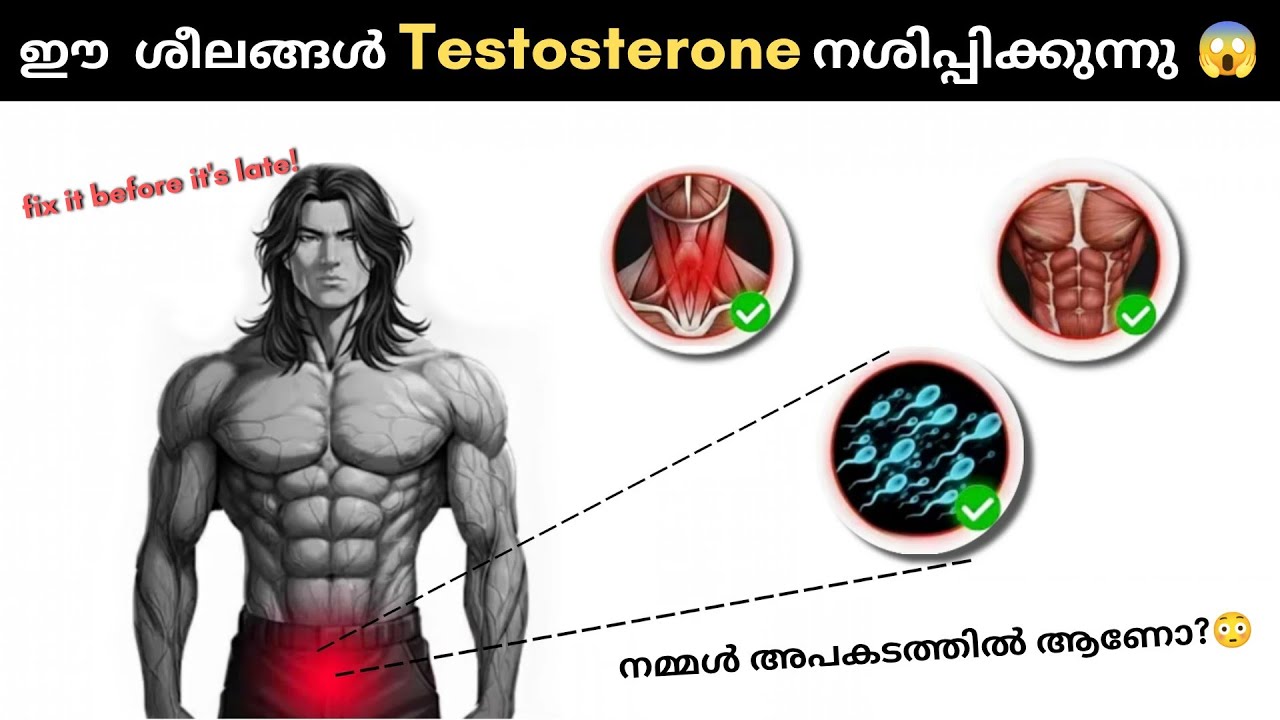 Эти привычки разрушают ваш тестостерон!! 😳😱 Будьте осторожны!!!