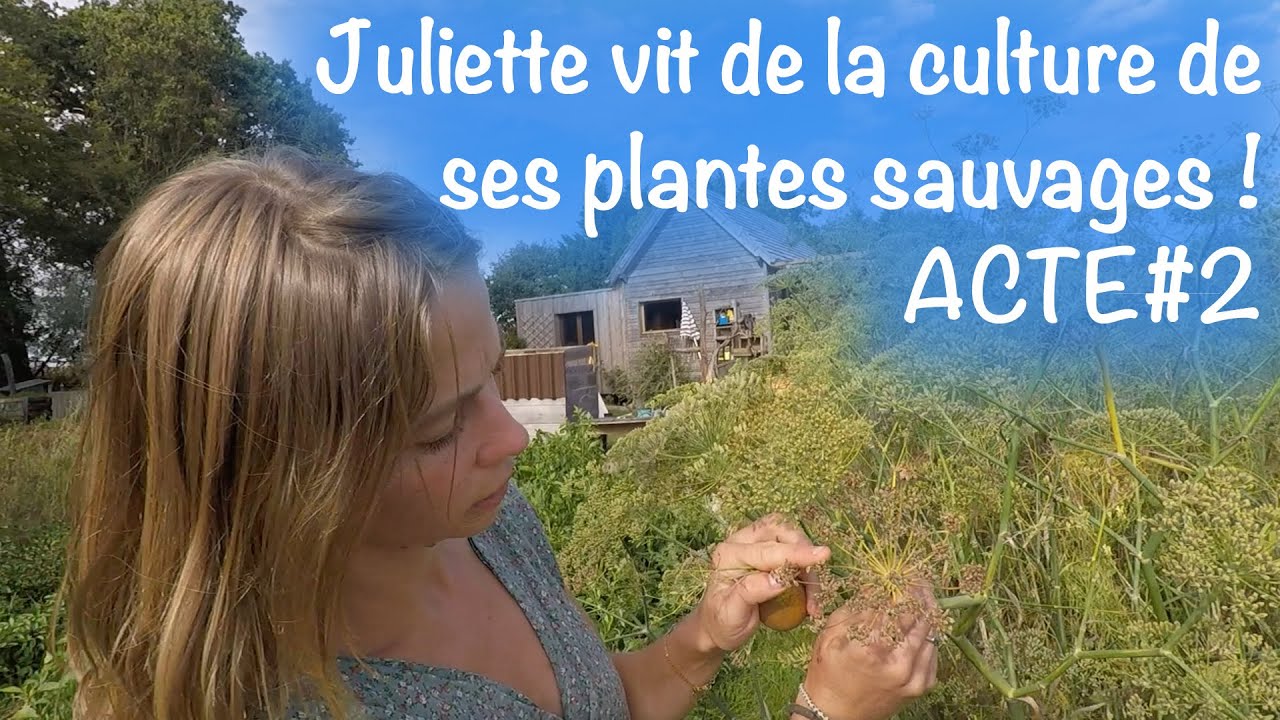 Juliette vit de la culture de ses plantes sauvages, ACTE 2