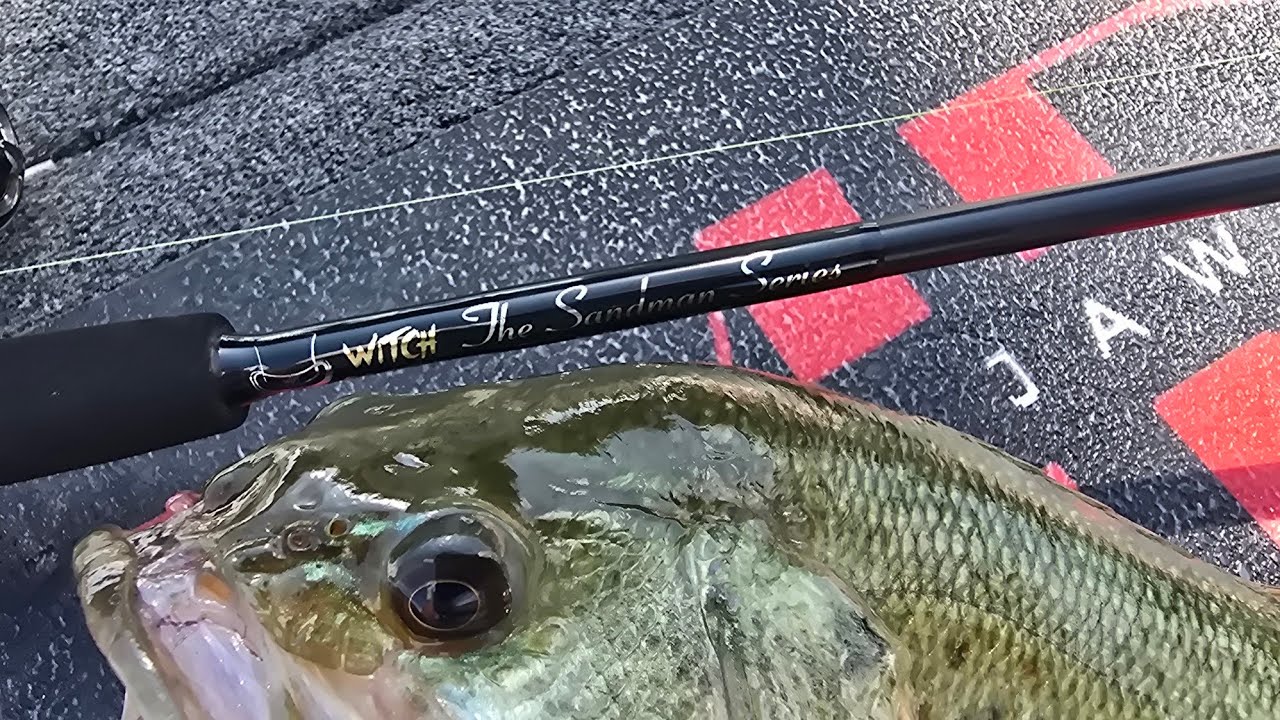 Douglas Lake Bass Fishing June 30 Witchdoctor Tackle July 1st 