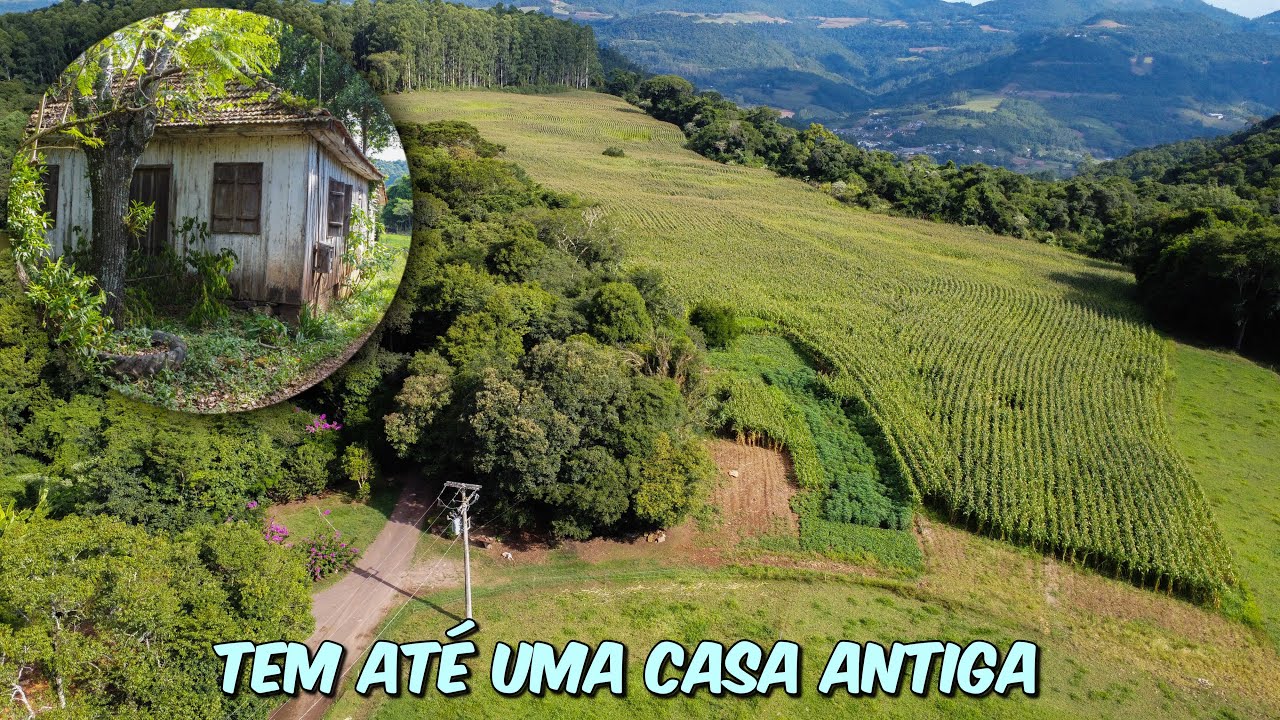 A VIDA TRANQUILA EM UM SÍTIO NO INTERIOR GAÚCHO!