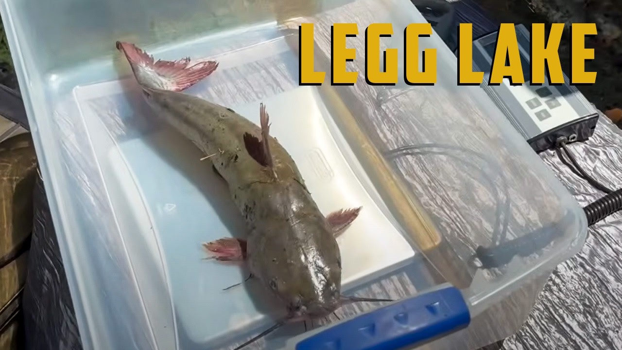 The Battle of Los Angeles Fishing Tournament