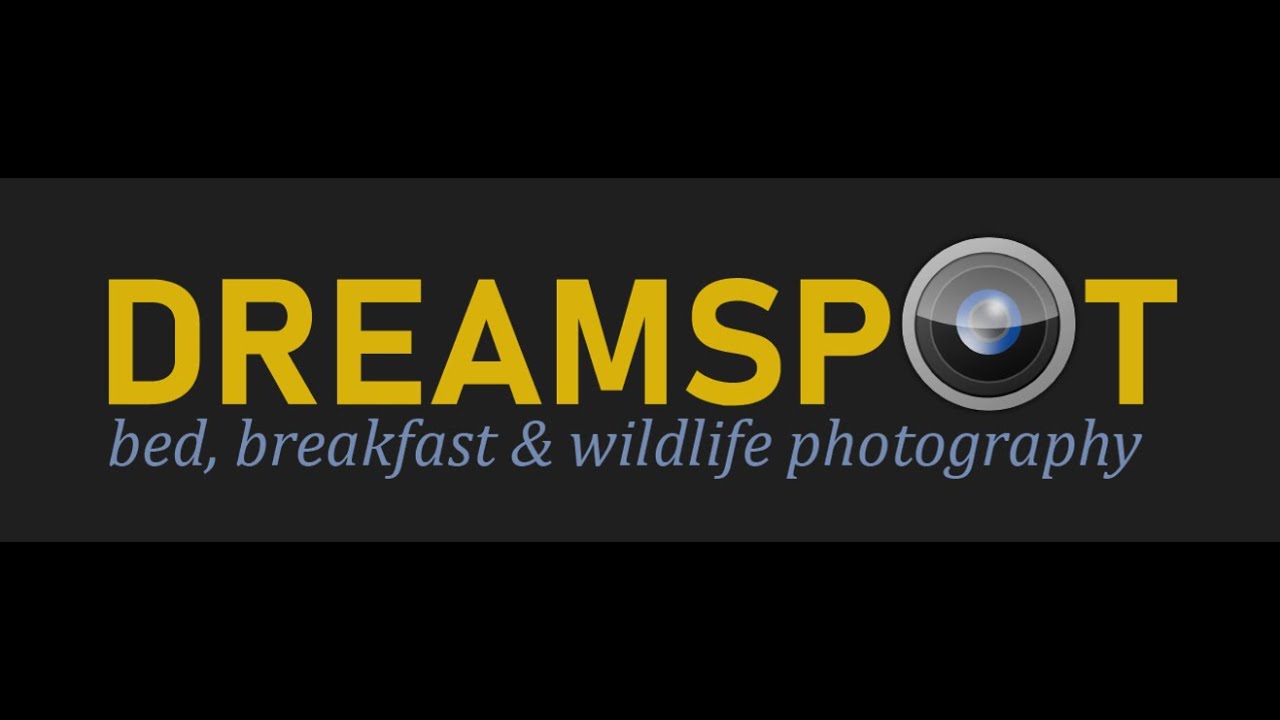 DREAMSPOT PROMO