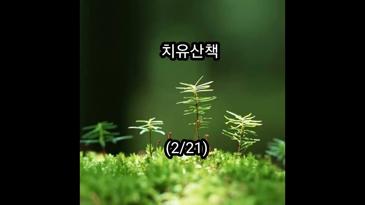 치유산책 (2/21)