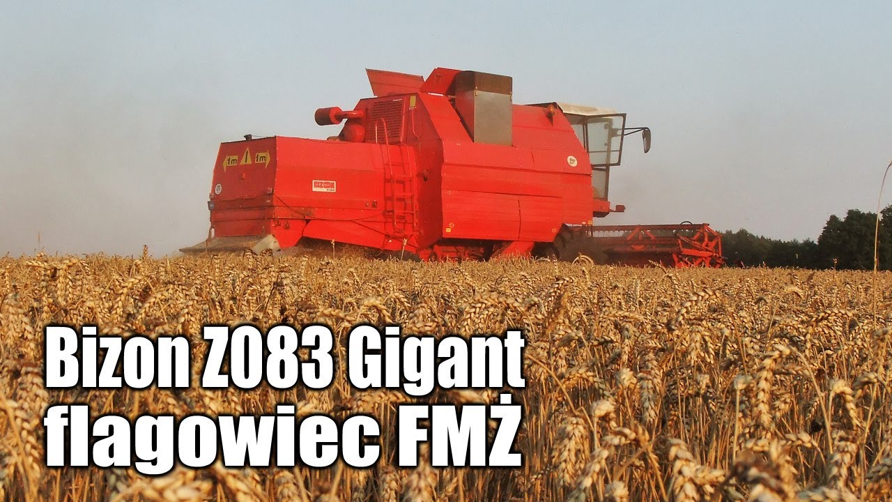 Bizon Z083 Gigant – flagowiec FMŻ – żniwa 2020