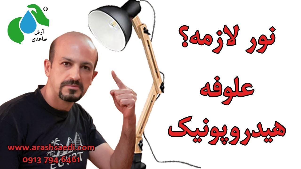 نور علوفه هیدروپونیک